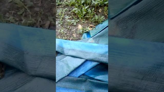 ?Шланг для дренажного насоса ?