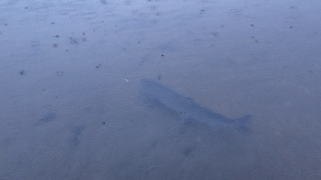 VID20220629052743.mp4