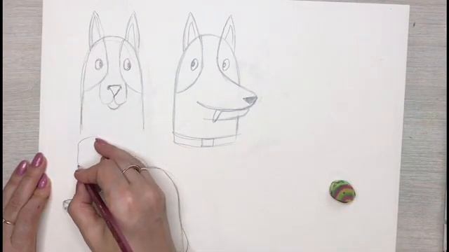 Как нарисовать карандашом мордочки собак разных пород смотреть онлайн