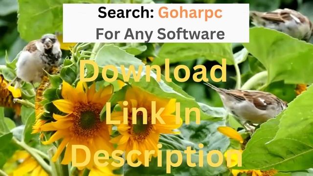 WinRAR Crack 6.22 Final With Keygen Free Download [Latest]WinRAR Crack смотреть онлайн