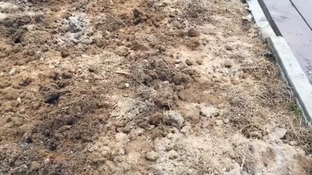 Загородная жизнь. Брикет торфяной и его зола. смотреть онлайн