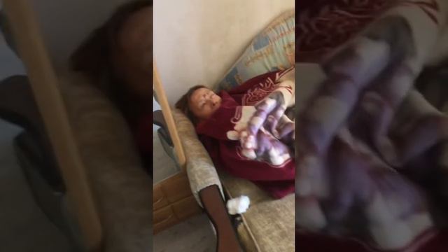 Ставрополь быдло смотреть онлайн