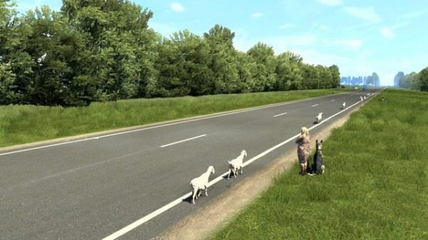 Тема. 25 Дополнительные требования к движению гужевых повозок, а также прогону животных