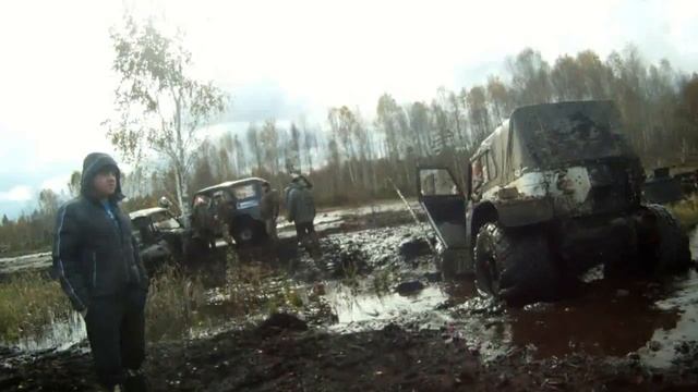 Точка на березе в торфяннике смотреть онлайн