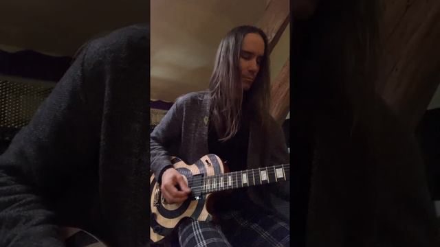 Zakk Wylde's BLS - The Day that Heaven Had Gone Away - Solo Cover смотреть онлайн