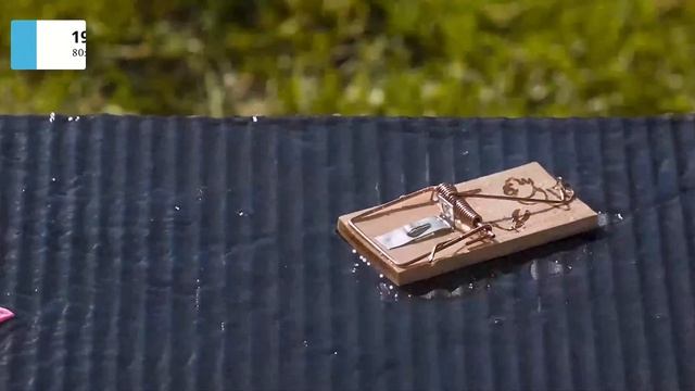 Slow Motion Test Comparison - From 24 FPS To 7680 FPS