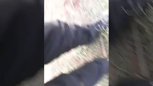 Как доить козу смотреть онлайн