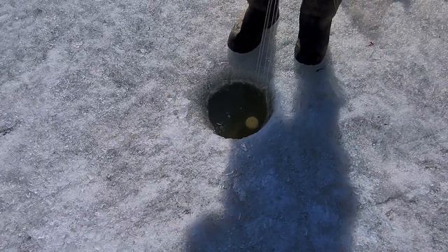 ХАПУГА ТРЕЩИТ ОТ ЩУКИ! РЫБАЛКА НА ХАПУГУ ХЛОПОК! ЛЕОПАРДОВОЙ ЩУКИ ВАЛОМ! смотреть онлайн