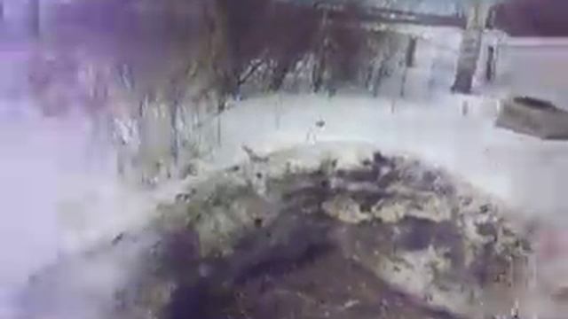 P1000423 смотреть онлайн