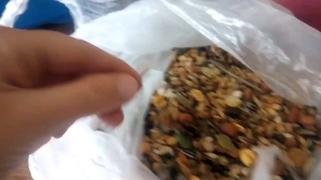 Покупки из зоомагазина для нашего крысеныша Пати. смотреть онлайн