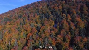 Дуо Бош Оғриғи Ва Хар Қандай Оғриқ Учун Кучли Дуо! #таъсирли_дуолар