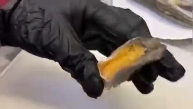 Зубатка смотреть онлайн