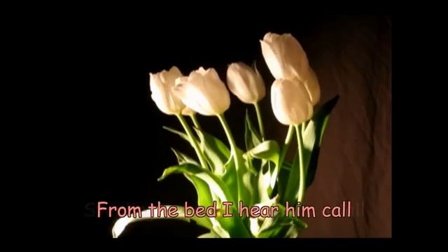 Jesca Hoop - Tulip (with lyrics) смотреть онлайн