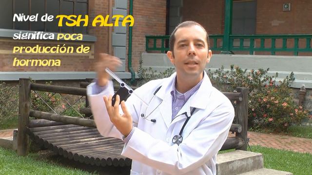 ¿Sabes cómo se lee la prueba de TSH? Aquí te lo enseñamos de forma sencilla смотреть онлайн