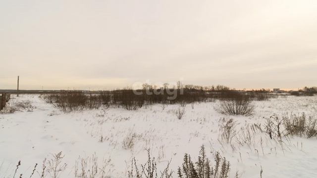 10703744 смотреть онлайн