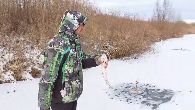 ПЕРВЫЙ ЛЕД!2021-2022. Ловля щуки на жерлицы.