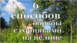 6 способов БОРЬБЫ с СОРНЯКАМИ на целине // 6 ways to control weeds in the virgin location
