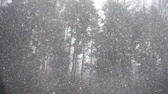 Зимний лес. Падающий, летящий снег. Winter forest. Falling, flying snow. Rest of the soul. смотреть онлайн