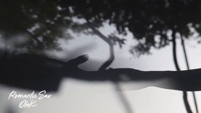 Oleg Kireyev - Where are you. Romantic Sax Music. смотреть онлайн