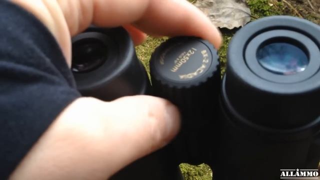 Бинокль Leupold BX-2 Acadia 12x50 видеообзор | Магазин ALLAMMO.RU смотреть онлайн