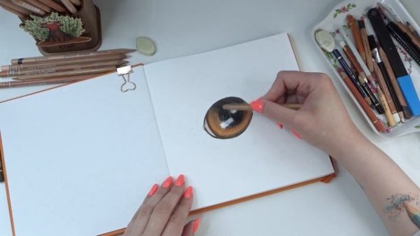 Как я рисую глаз собачки карандашами [Derwent Lightfast, Faber Castell, Caran d'Ache Luminance]