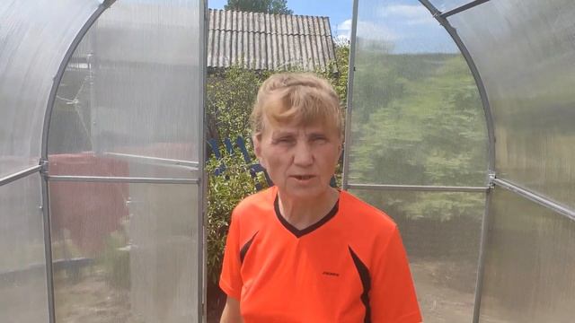 Огурцы!!! Способы посадки и подкормки!!! смотреть онлайн