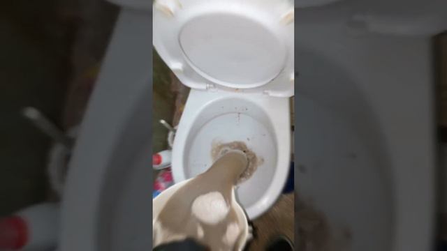 Химчистка бежевого дивана в домашних условиях! #клининг #лайфхаки #грязь #сало #омск смотреть онлайн