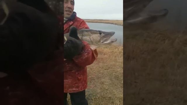 Казахстан Акмолинская область Астраханский район смотреть онлайн