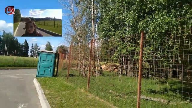 Тигр в зоопарке | Зоопарк Станьково | Животные на улице тигр, осел, олени, козы, лама смотреть онлайн