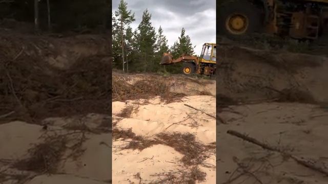 Выравнивание участка, цена,этапы,валим деревья строим дом смотреть онлайн