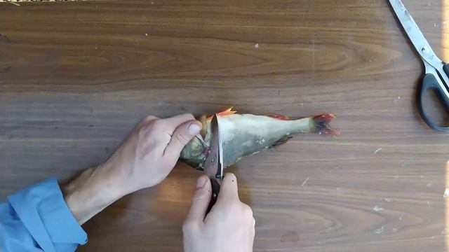 Как Почистить Окуня. Филе Рыбы. смотреть онлайн