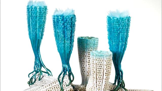 Развитие жизни на Земле (The Evolution of Life) - Археоциаты (Archaeocyatha) смотреть онлайн