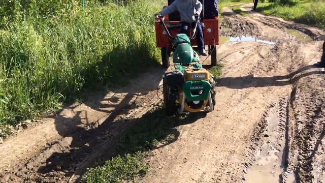 Мотоблок Caiman 330 с тележкой смотреть онлайн