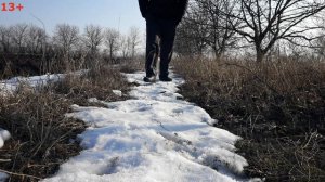 проверка рабочих качеств Амстаффа, защита собаки от нападения, Амстафф это охранник.