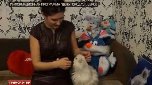 Кошка из Серова попала в Книгу рекордов смотреть онлайн