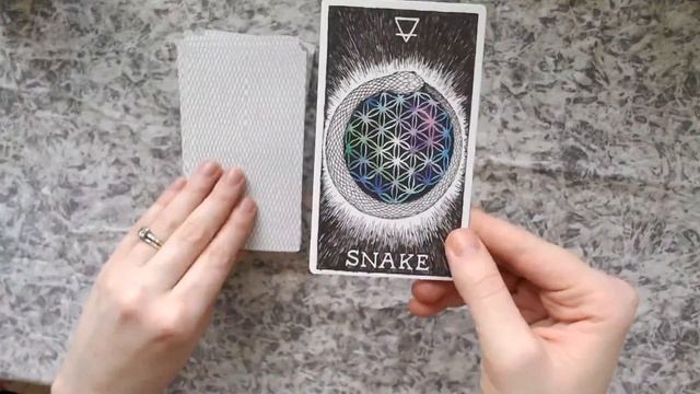 Review of Wild Unknown's Animal Spirit Oracle Deck! смотреть онлайн