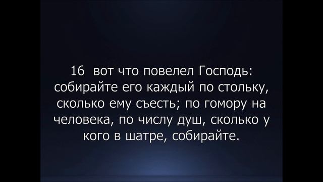 Библия. Ветхий Завет. 2-я Книга Моисея Исход, глава 16. смотреть онлайн