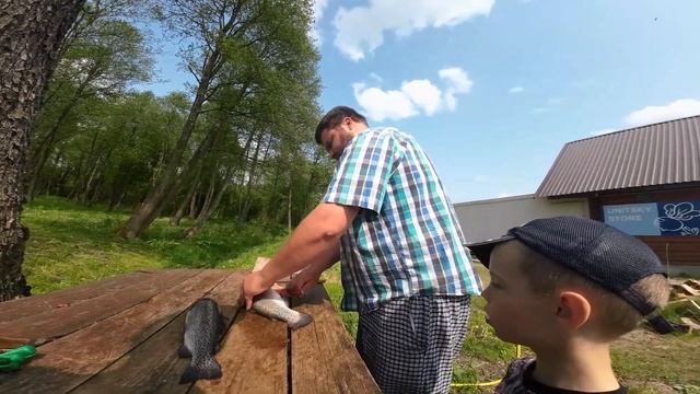 Ловим форель на Платнике АКВАПТИЧЬ. Рыбалка с сыном ловим форель на спиннинг смотреть онлайн