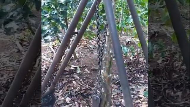 Отличная приспособа для корчевание пней. смотреть онлайн