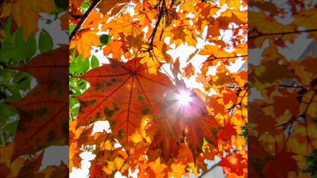 Мощная очищающая молитва смотреть онлайн