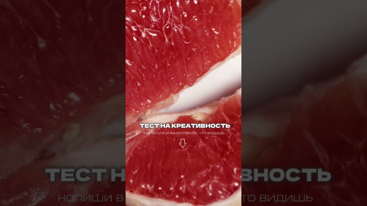 Anet Swan -- LEBEDEVA ANNA