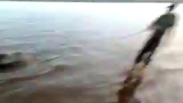 Пойманный сом в р.Кама смотреть онлайн