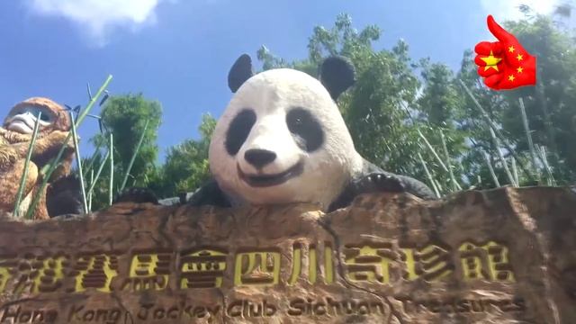 Гонконг часть 9-я (Hongkong Ocean Park часть 2)