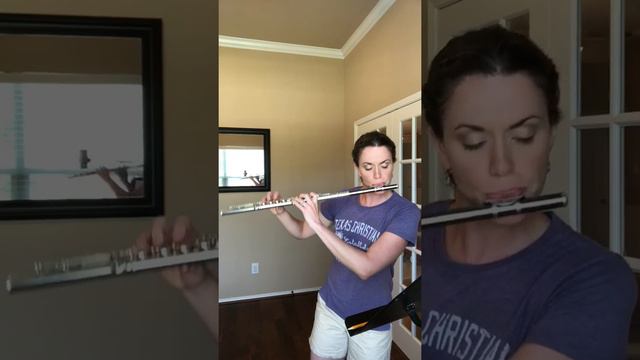 Boehm Op. 26, D Major flute etude смотреть онлайн