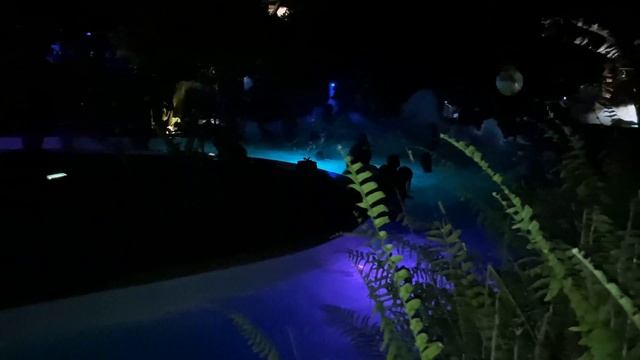 LIBERIA'S BIGGEST POOL PARTY ( year end Pool party Bash ) смотреть онлайн