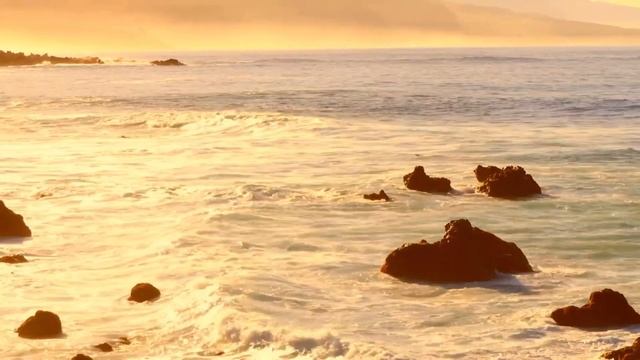 Приходит утро - Елена Сальникова