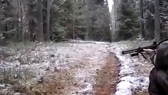 Прикол. ОХОТА! :D смотреть онлайн