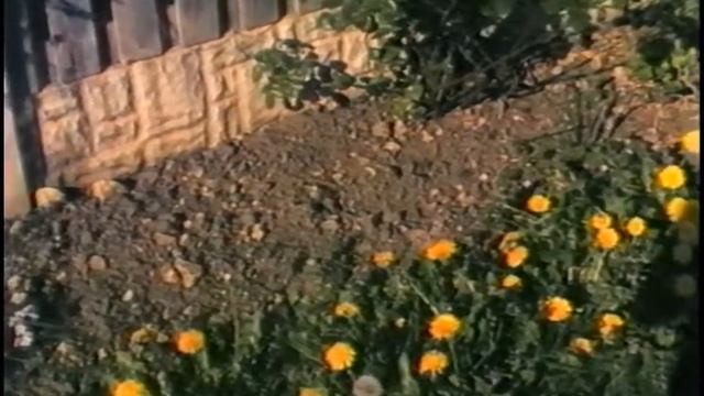 Panasonic NV-M1 Newvicon tube VHS Camcorder semi-fisheye смотреть онлайн