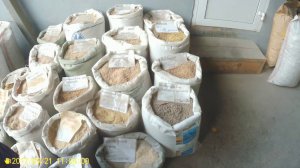 Влог. Поездка в город за кормами