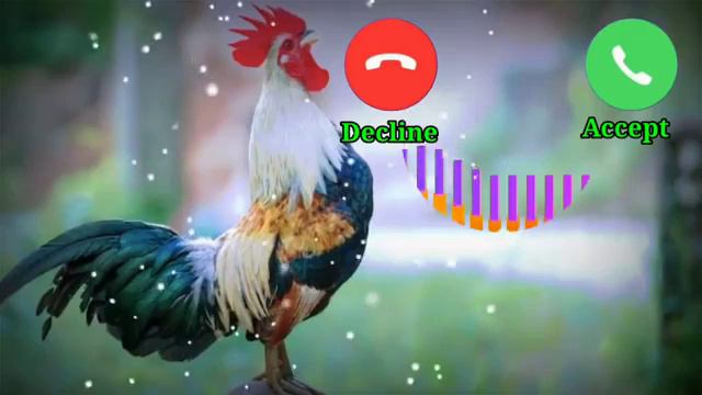 New sms ringtone||Cute SMS ringtone||best notification tone||love notification tone||iPhone rington смотреть онлайн